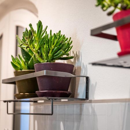 La Regia Apartment Cuneo Eksteriør bilde
