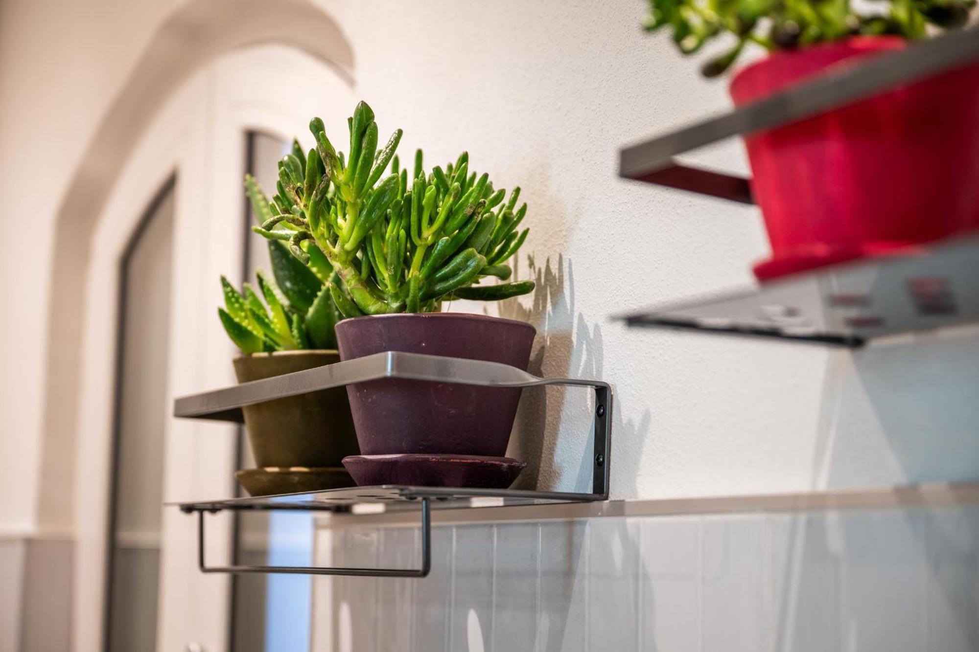 La Regia Apartment Cuneo Eksteriør bilde
